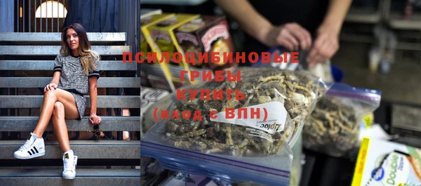 гидра Теберда