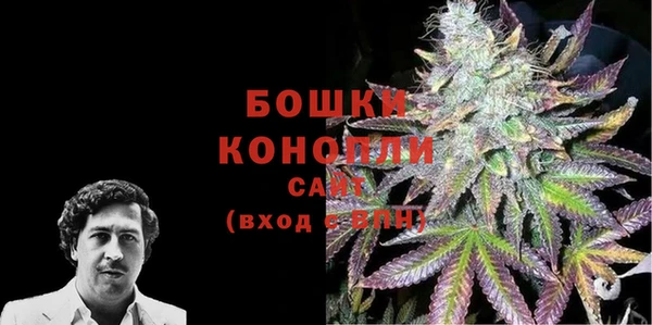 прущие грибы Навашино