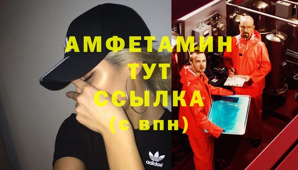 прущие грибы Навашино