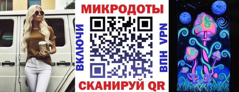 Псилоцибиновые грибы Psilocybe  Лабинск 